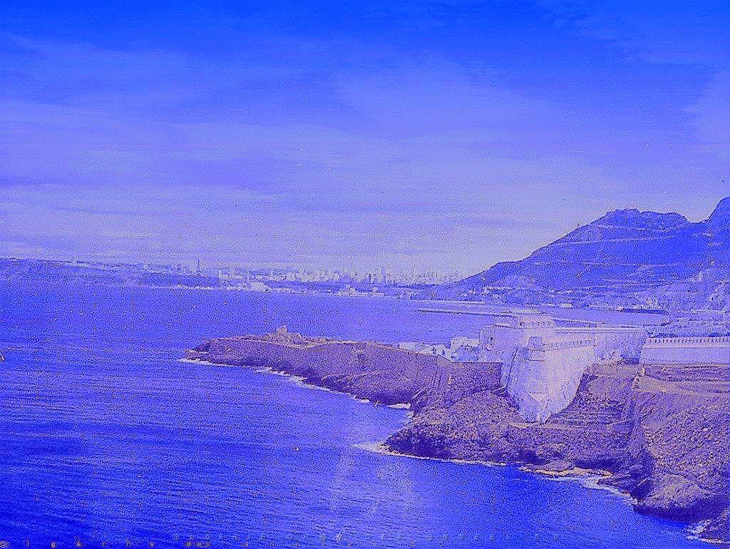 ORAN 02513.jpg